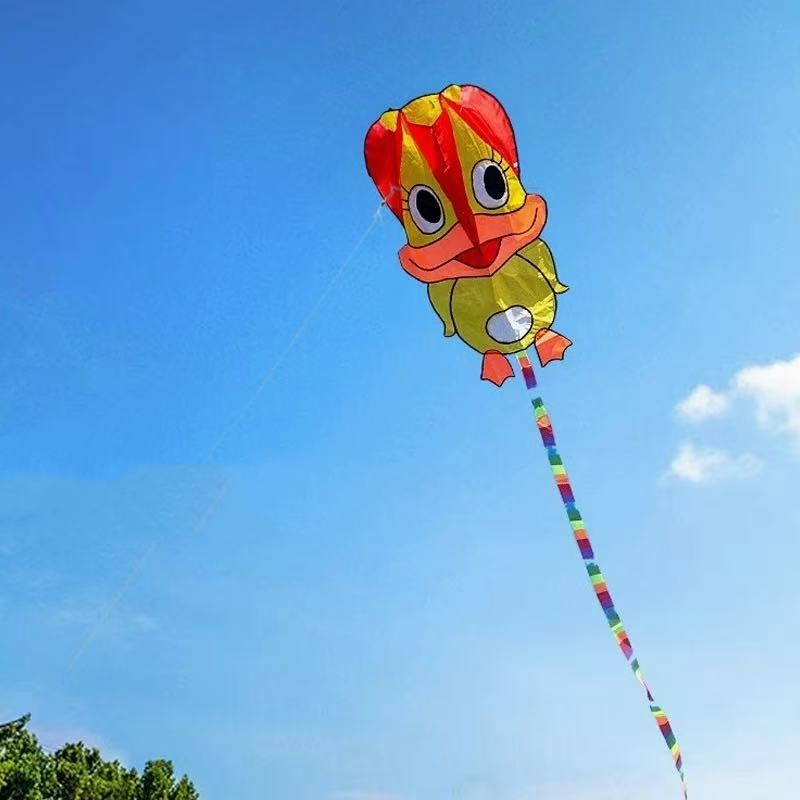 Kite Wind Outdoor - Inflatable kites Duck kites flying outdoor