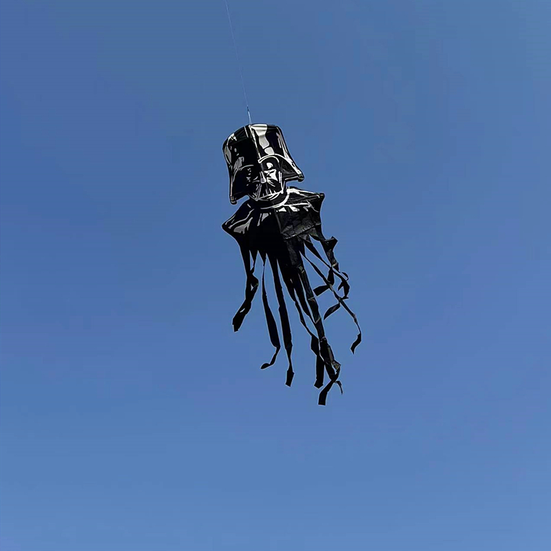 New kite flying knight kites n - Kite Wind Outdoor 评论和价格