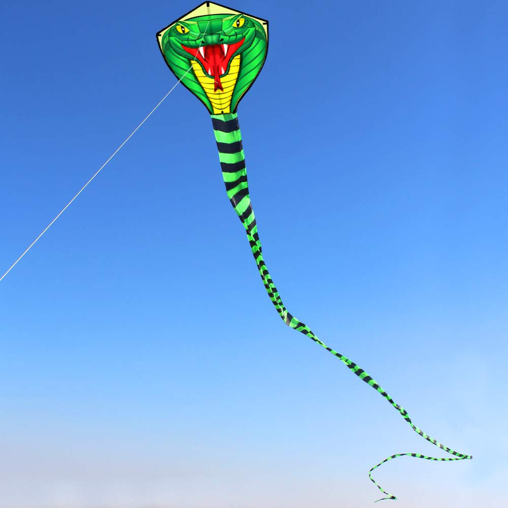 Large 8/15m Snake /Power Cobra - Kite Wind Outdoor 评论和价格