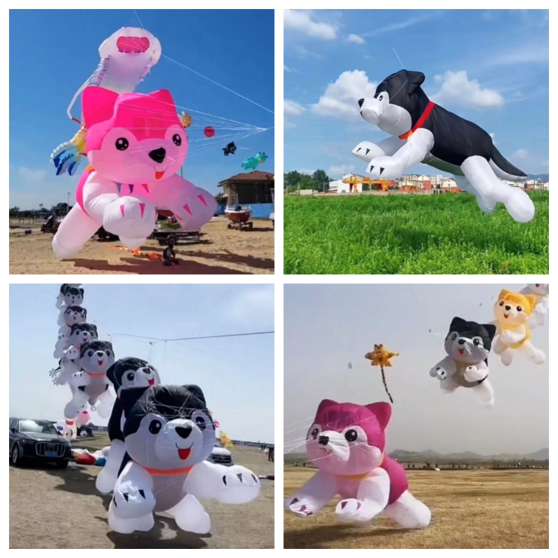 Giant kites flying inflatable  - Kite Wind Outdoor 评论和价格