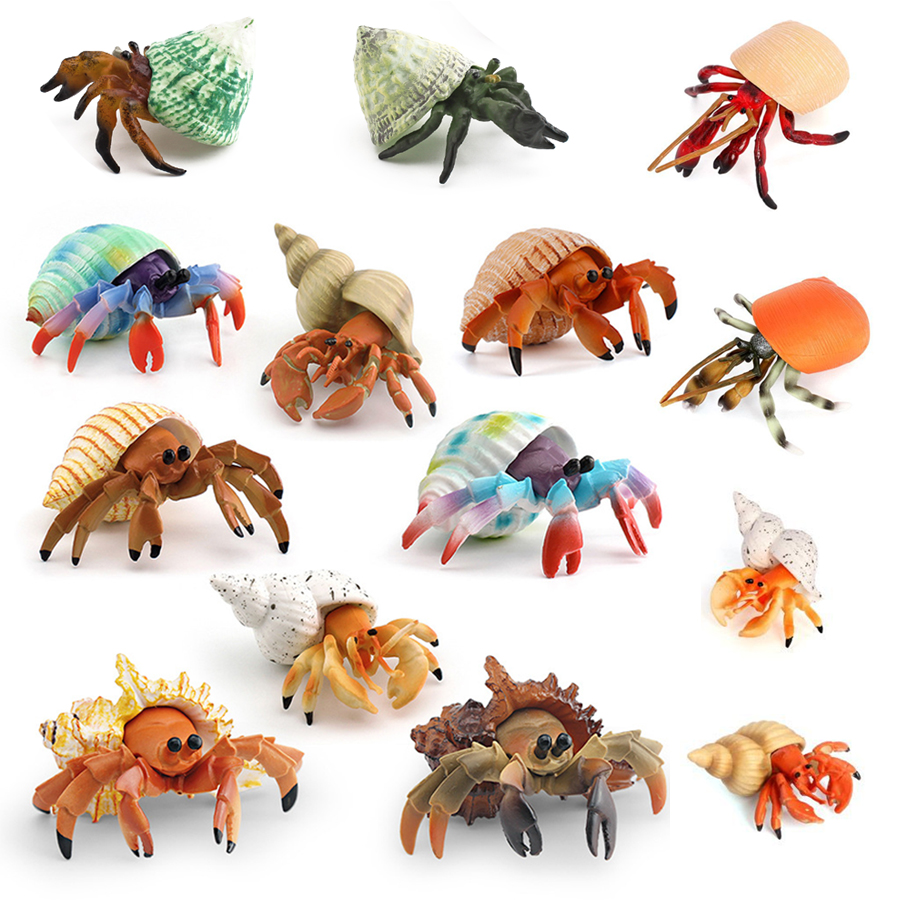 Realistic Hermit Crab Figurine - Kids Toys 3 Year Old 评论和价格