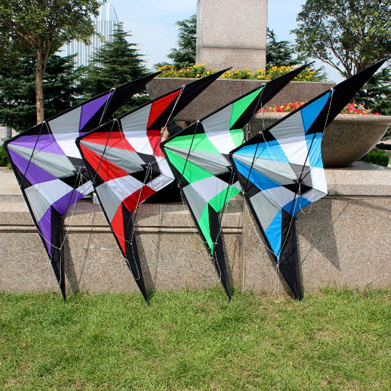 Professional outdoor Fun Sport - Kite Wind Outdoor 评论和价格
