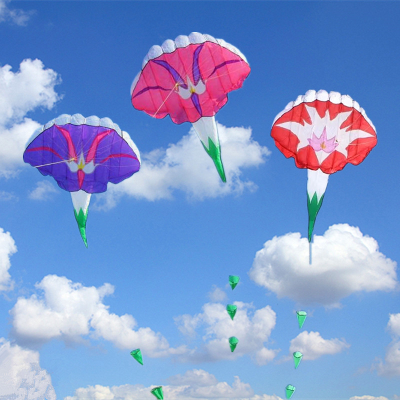 Large kites flying soft kites  - Kite Wind Outdoor 评论和价格