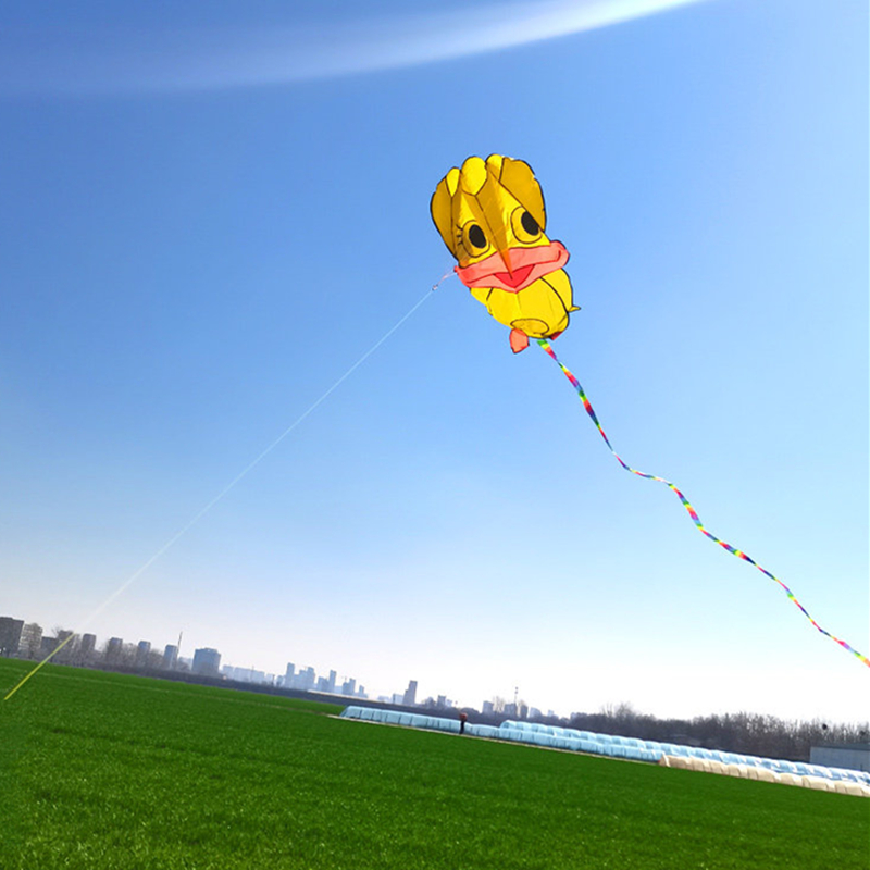 Inflatable kites Duck kites fl - Kite Wind Outdoor 评论和价格