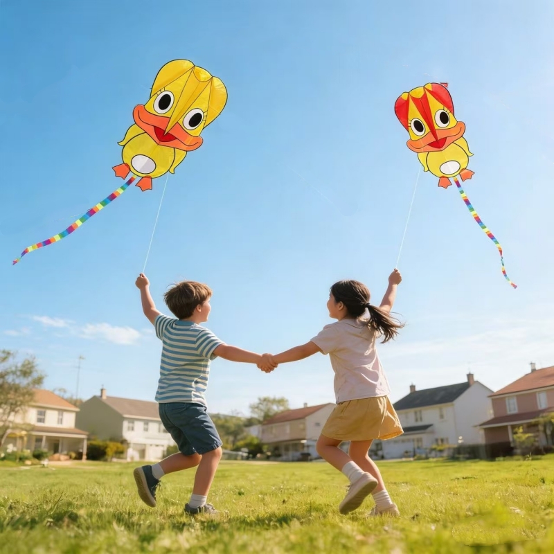 Inflatable kites Duck kites fl - Kite Wind Outdoor 评论和价格