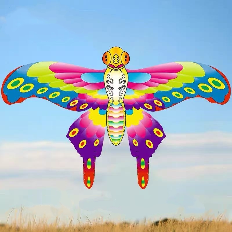 Pocket kite flying fishing lin - Kite Wind Outdoor 评论和价格