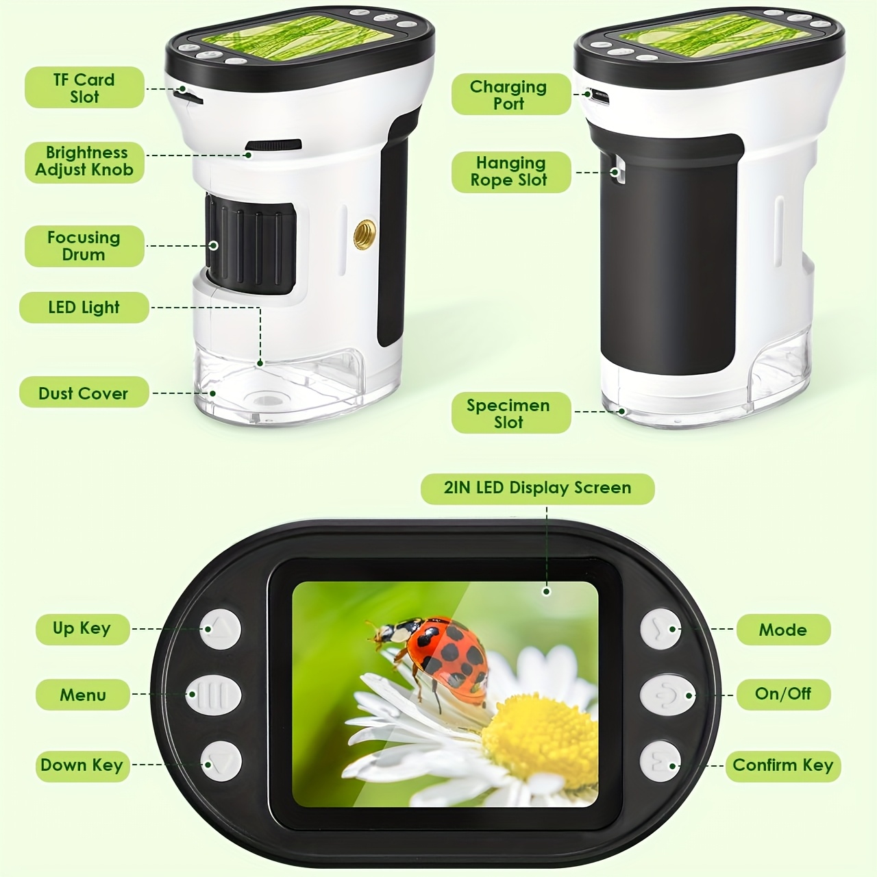 Kids Microscope Biological Kit - Microscope Kids Science 评论和价格