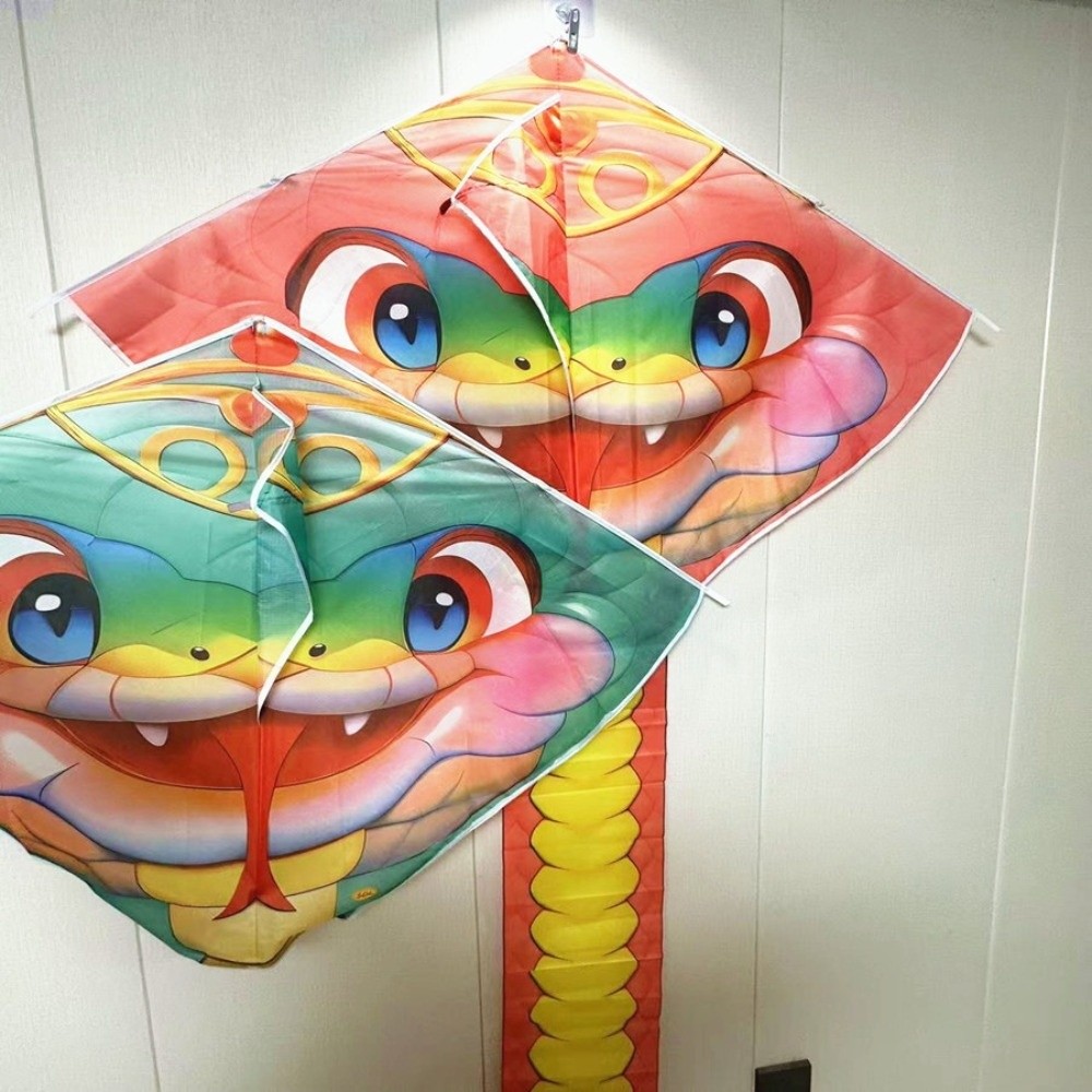 Easy to Fly 4.75M Snake Kite L - Kite Wind Outdoor 评论和价格