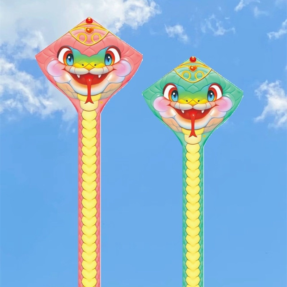 Easy to Fly 4.75M Snake Kite L - Kite Wind Outdoor 评论和价格