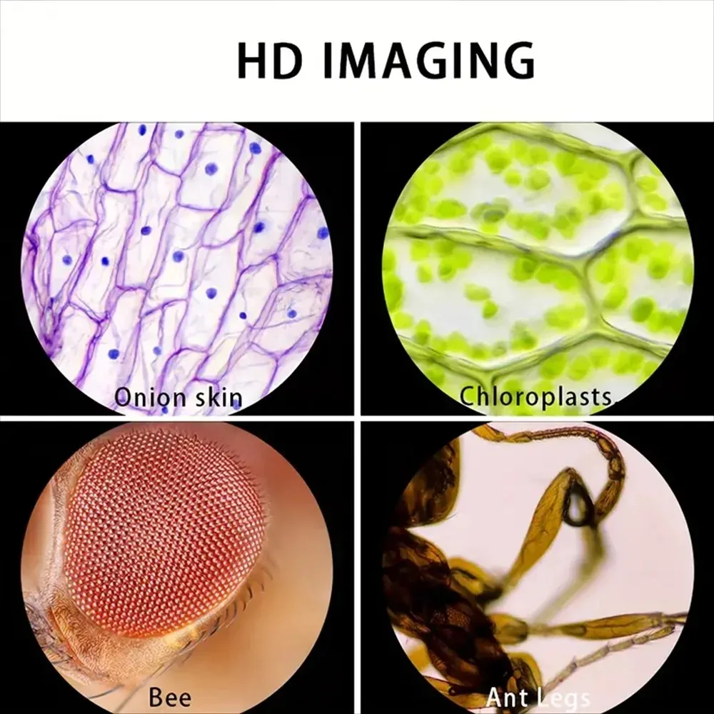 Microscope 60-120X Lab Handhel - Microscope Kids Science 评论和价格
