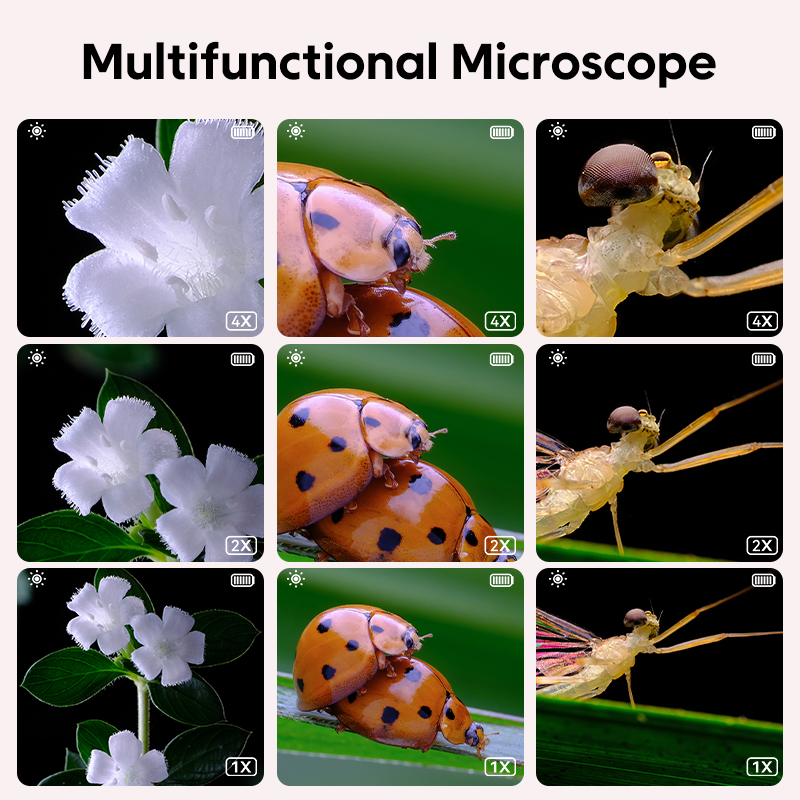 Mini Kids Optical Microscope W - Microscope Kids Science 评论和价格