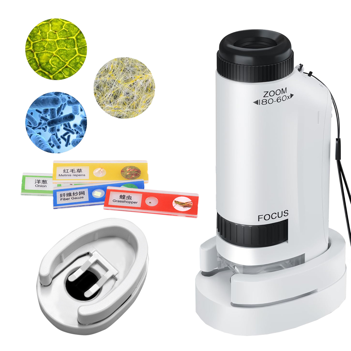 Mini Microscope Handheld Toys  - Microscope Kids Science 评论和价格